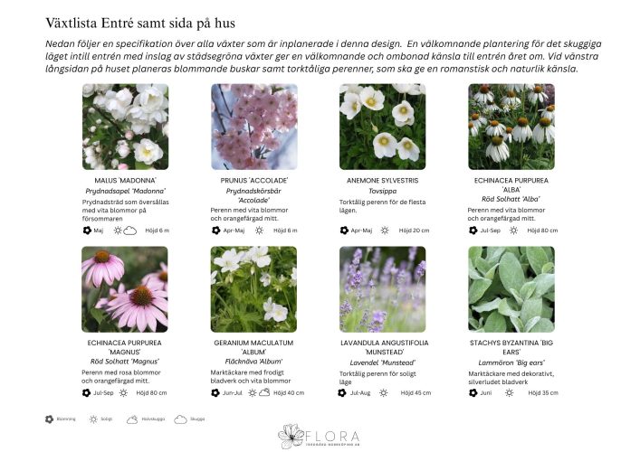 rabattförslag soligt läge Flora Trädgård AB